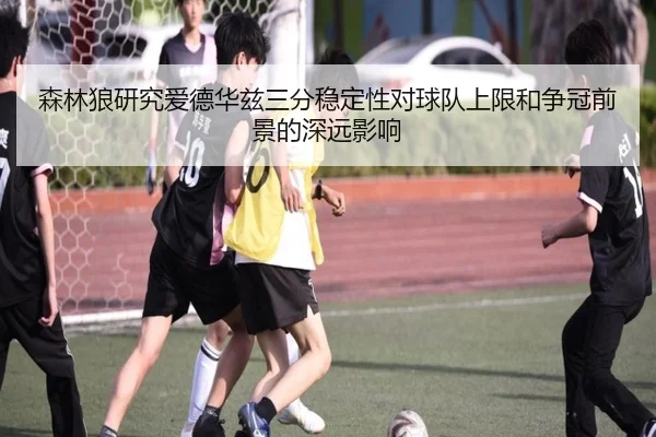 森林狼研究爱德华兹三分稳定性对球队上限和争冠前景的深远影响